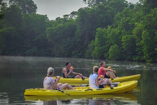 Madu River Sunrise Mangrove Kayaking from Bentota - Authentic, Eco-Conscious, and Well-Organized