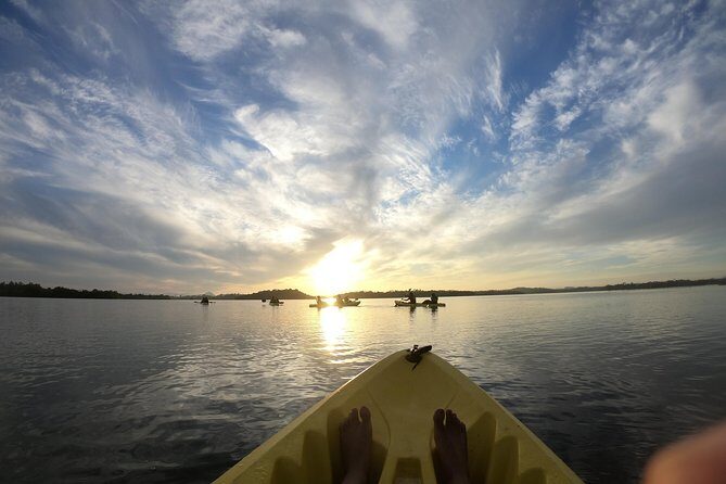 Madu River Sunrise Mangrove Kayaking from Bentota - Final Thoughts