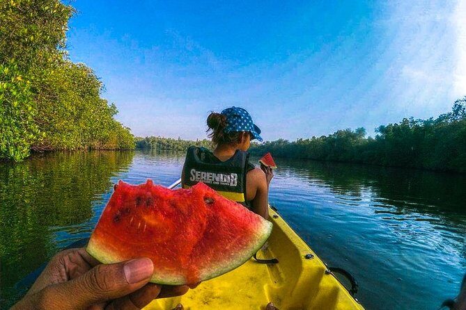 Madu River Sunrise Mangrove Kayaking from Colombo - Deep Dive Into the Itinerary