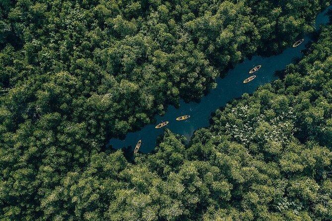Madu River Sunrise Mangrove Kayaking from Colombo - Why This Tour Is Worth Considering