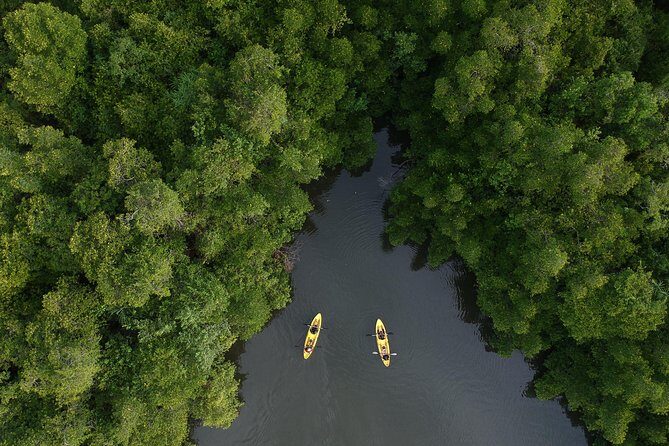 Madu River Sunrise Mangrove Kayaking from Colombo - Final Thoughts