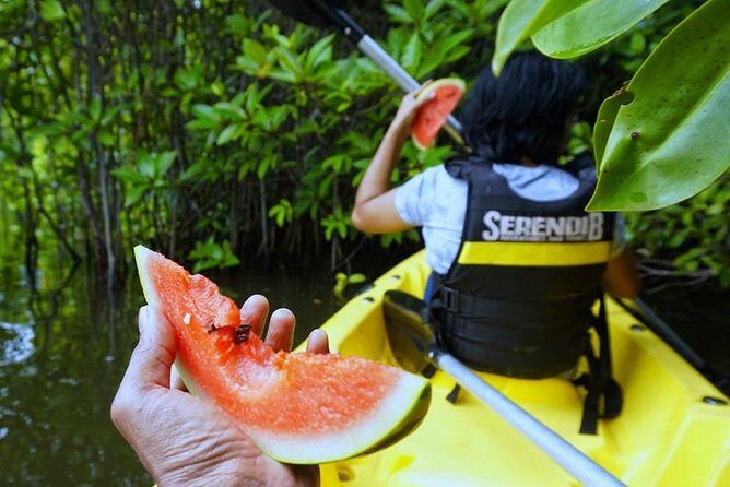 Madu River Sunrise Mangrove Kayaking from Colombo - FAQs