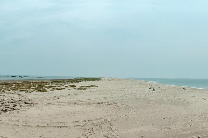 Madurai to Rameswaram Full-Day Tour - Key Points