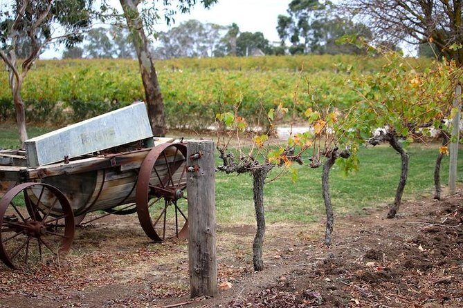Maggie Beer Farm - Barossa Valley Regional Tour - The Itinerary in Detail