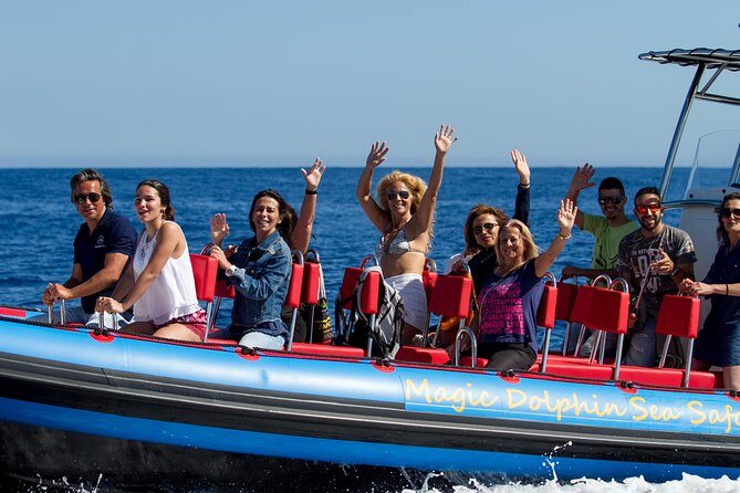 Magic Dolphin Sea Safaris - A Closer Look at the Experience
