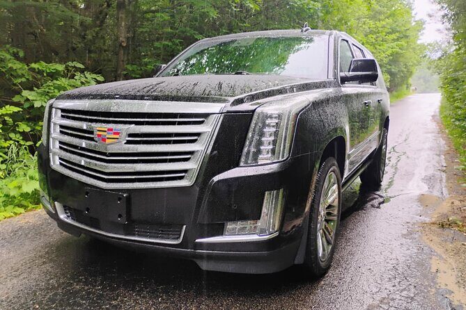 Magic Mike NON BUS Traverse City Old Mission Peninsula Wine Tour - Key Points