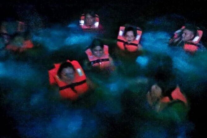 Magic Night in the Lagoon of Manialtepec Bioluminescence - Who Should Consider This Tour?