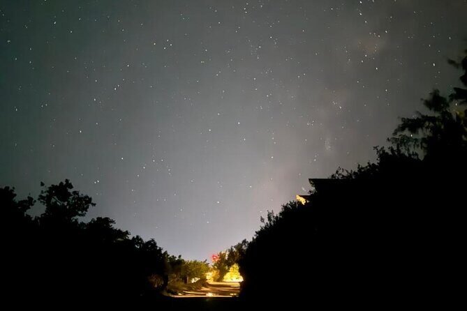 Magic Night of Stargazing and Bioluminescence - Who Should Consider This Tour?