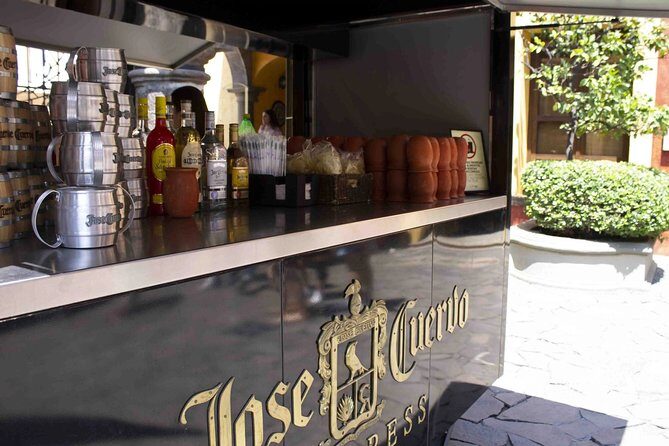 Magic Town Tequila and Agave Fields - Who Would Benefit from This Tour?