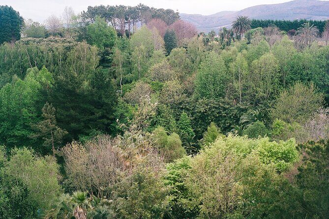 Magical and Exclusive Private Visit to the Fonte Baxa Garden, Luarca - Key Points