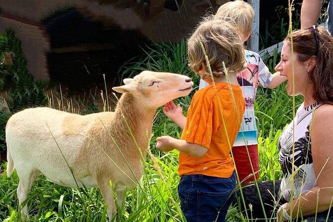 Magical Creatures Sanctuary Private Tour - The Experience at a Glance: What to Expect