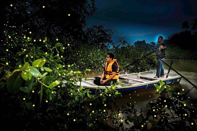 Magical Fireflies Tour - Key Points