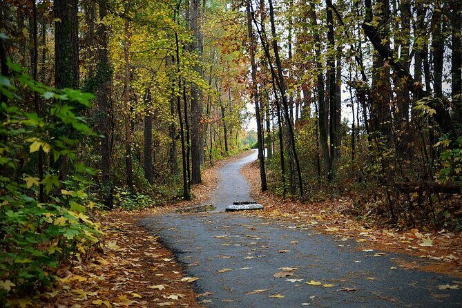 Magical Golf Cart Tour Through Peachtree City Trails - Who Will Love This Tour?