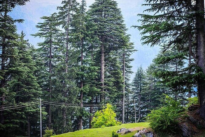 Magical Manali Honeymoon Package - Key Points