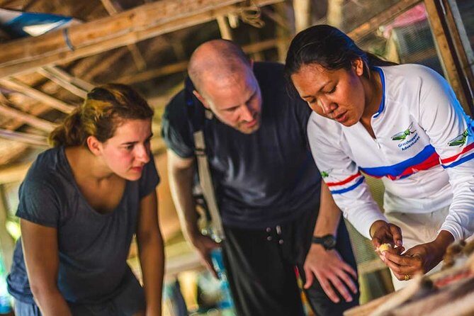 Magical Mekong River Island Biking Tours - Final Thoughts: Who Should Consider This Tour?