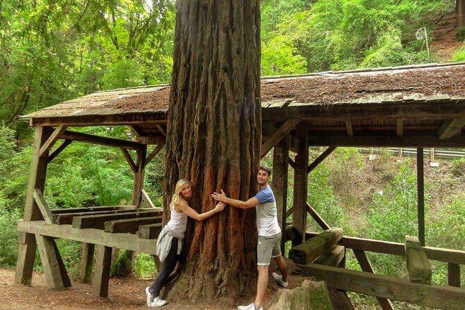 Magical Muir Woods Car Tour (Private & All-Inclusive) - Price and Value Consideration