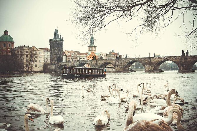 Magical Prague Private Half-Day Tour - A Closer Look at the Itinerary and What You Can Expect