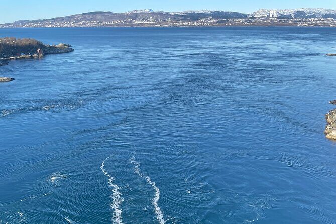 Magical Saltstraumen Tour - Key Points