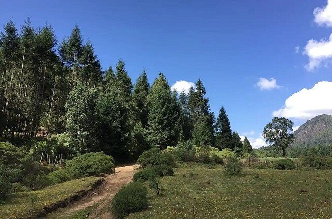 Magical Santa Clara leaving from Morelia - FAQ