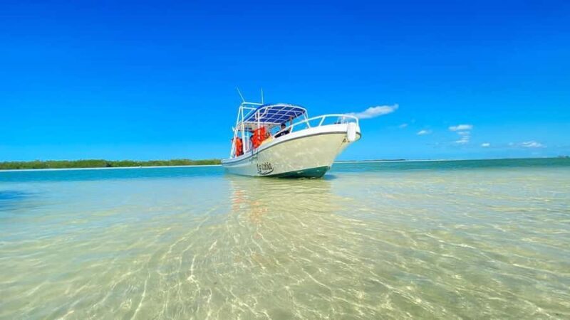 Magical Sunrise on Holbox Island VIP - Coffee & Light Breakfast - Who Will Love This Tour?