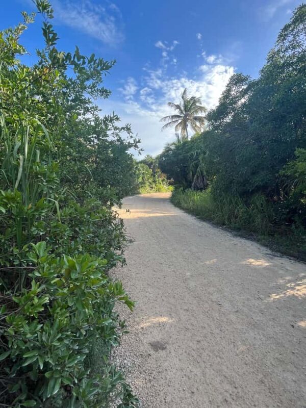 Magical Sunset at Sian Ka'an Biosphere, 3 hours boat tour - An In-Depth Look at the Tour Experience