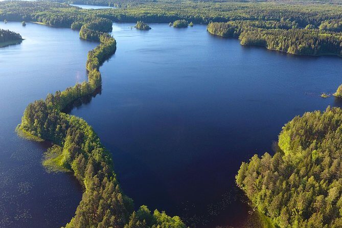 Magical Taiga Forest Hike with Lunch and Transportation - The Sum Up