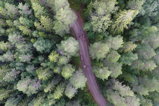 Magical Taiga Forest Hike with Lunch and Transportation - FAQ