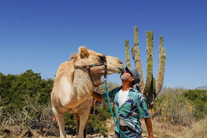 Magical Todos Santos Tour, Camel ranch, Lunch & Tequila - Exploring the Magical Todos Santos Tour: A Full-Day Adventure with Authentic Flavors