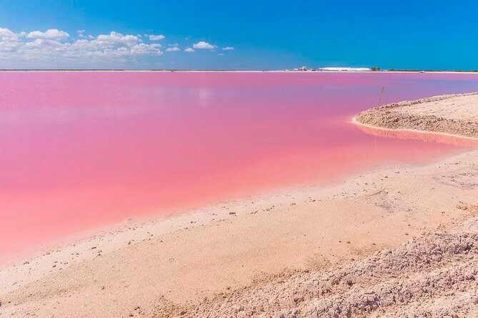 Magical Tour Las Coloradas Natural Pink Lagoon from Riviera Maya - Delicious Food and Cultural Flavors