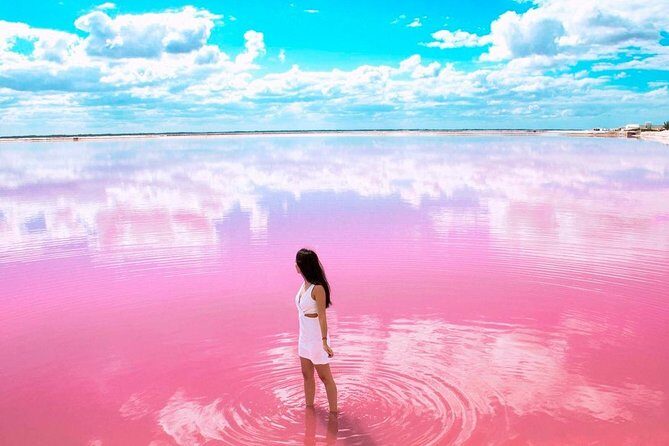 Magical Tour Las Coloradas Natural Pink Lagoon from Riviera Maya - Who is This Tour Best For?