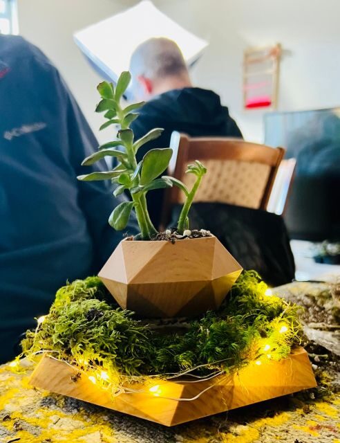 Magnetic Floating Terrarium Workshop - Practical Details and Considerations