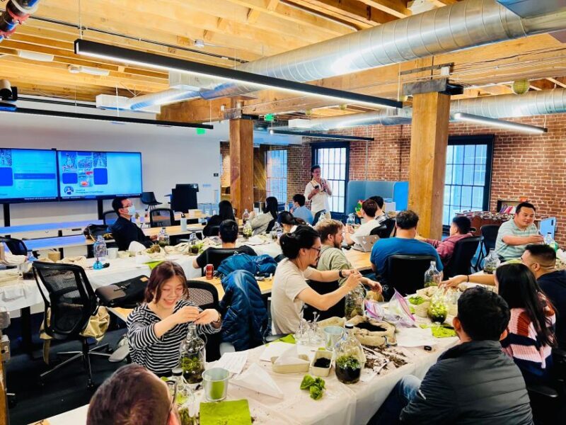 Magnetic Floating Terrarium Workshop - The Value of the Experience