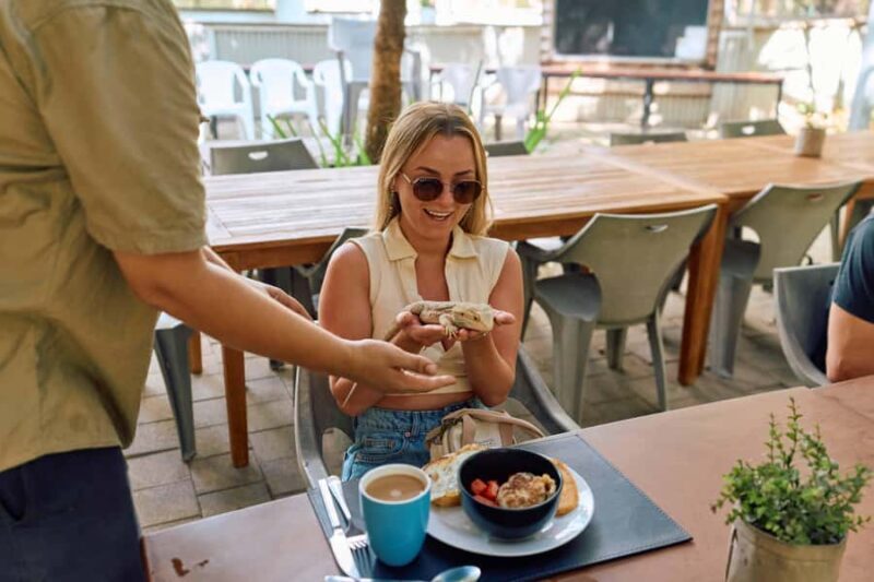 Magnetic Island: Breakfast with Koalas Experience - Frequently Asked Questions