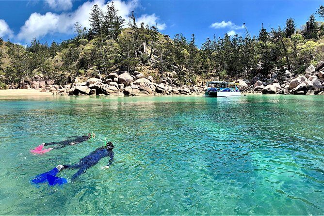 Magnetic Island Discovery Tour with Snorkeling & Paddle Boarding - Key Points