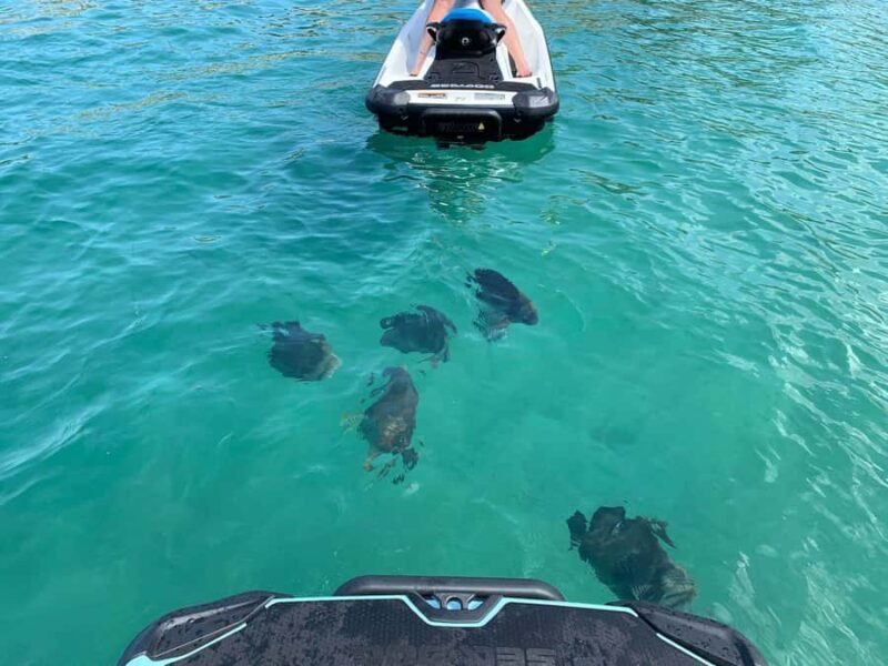 Magnetic Island Snorkel Jet Ski Tour - An In-Depth Look at the Tour