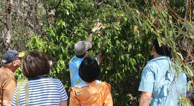 Magnetic Island Tour: Maggie Comprehensive - Final Thoughts