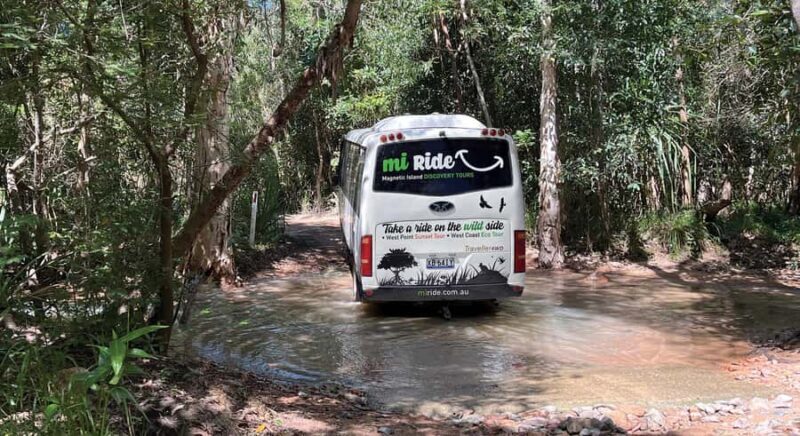 Magnetic Island: West Coast Eco Adventure Bus Tour - A Closer Look at the Tour