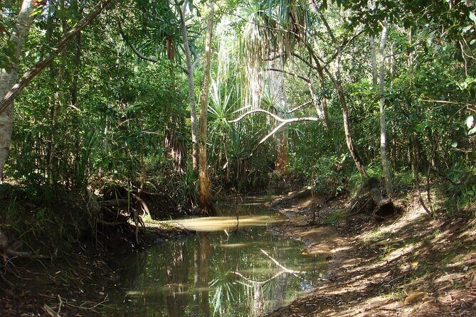Magnetic Island: West Coast Eco Adventure - Who Will Love This Tour?