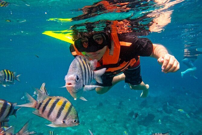 Magnificent Exploration to El Cielo Palancar and Columbia Reefs - Practical Considerations for Travelers