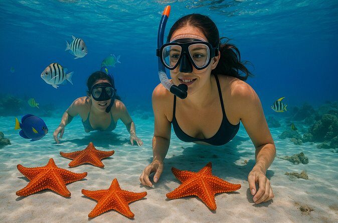 Magnificent Exploration to El Cielo Palancar and Columbia Reefs - Is This Tour Right For You?