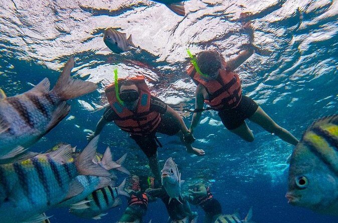 Magnificent Exploration to El Cielo Palancar and Columbia Reefs - Who Would Love This Tour