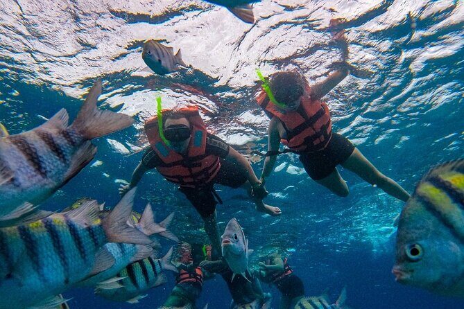 Magnificent Exploration to El Cielo Palancar and Columbia Reefs - Who Might Want to Skip It