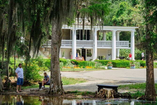 Magnolia Plantation Tour with transportation PLUS City Bus Tour - A Deep Dive into What You Can Expect