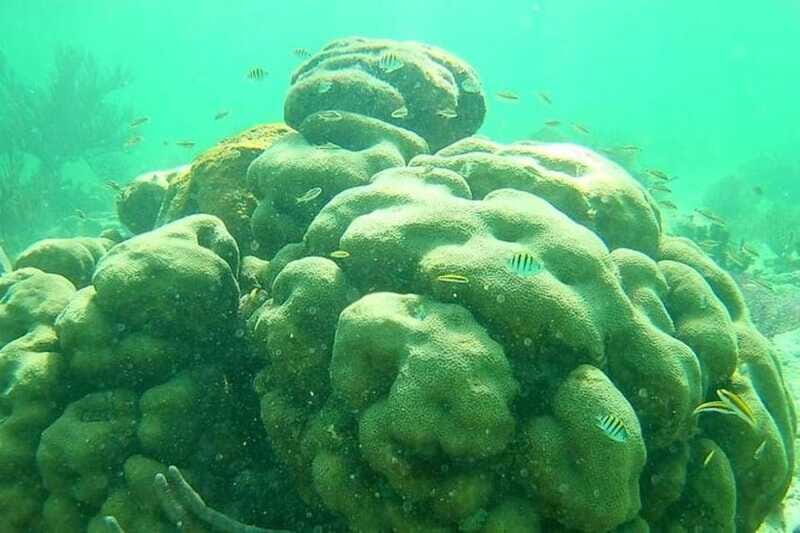 Mahahual: Costa Maya Snorkeling Adventure by Boat - The Experience in Detail