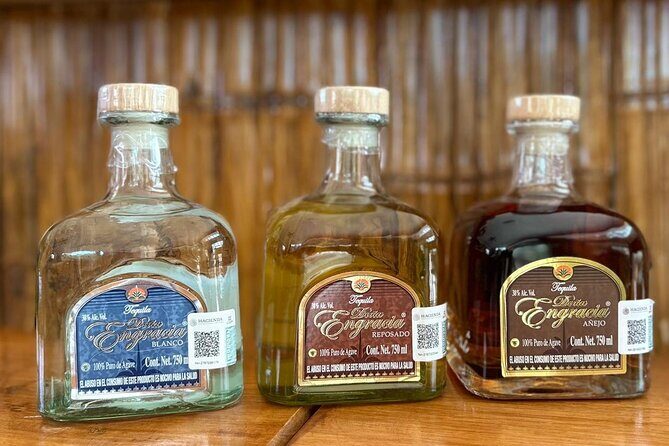 Mahahual Tequila Tasting Experience and Beach Club - A Detailed Look at the Experience