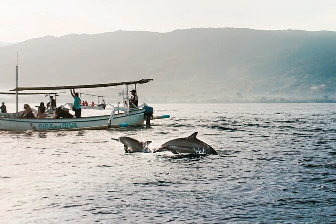 Mahi - Mahi Fishing Tour at North Bali Indonesia - Final Thoughts: Who Is This Tour Best For?
