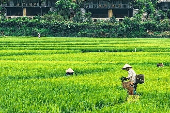 Mai Chau BEST Day Trip: Explore Hidden Charms, Peaceful Villages - A Deep Dive into the Mai Chau Day Trip