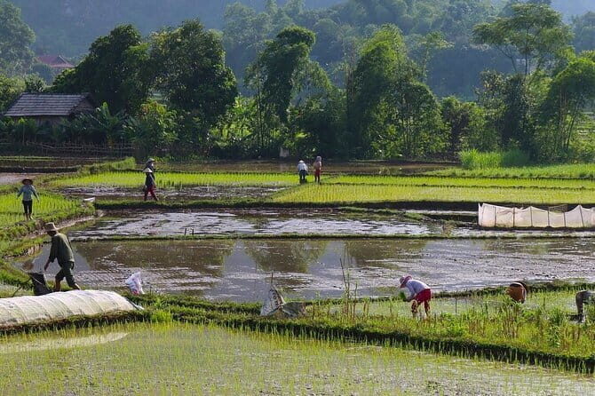 Mai Chau Day Trip: Explore the Beauty of Rural Villages by Bike - Pricing and Value