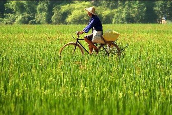 Mai Chau Nature village 2days trip - An In-Depth Look at the Mai Chau 2-Day Tour