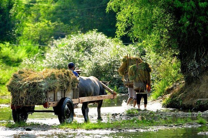Mai Chau Pu Luong 2 Days 1 Night from Hanoi - Practical Tips for Travelers